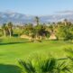 Рай для гольфистов: Счастливое время игры в лучших гольф-клубах Тенерифе