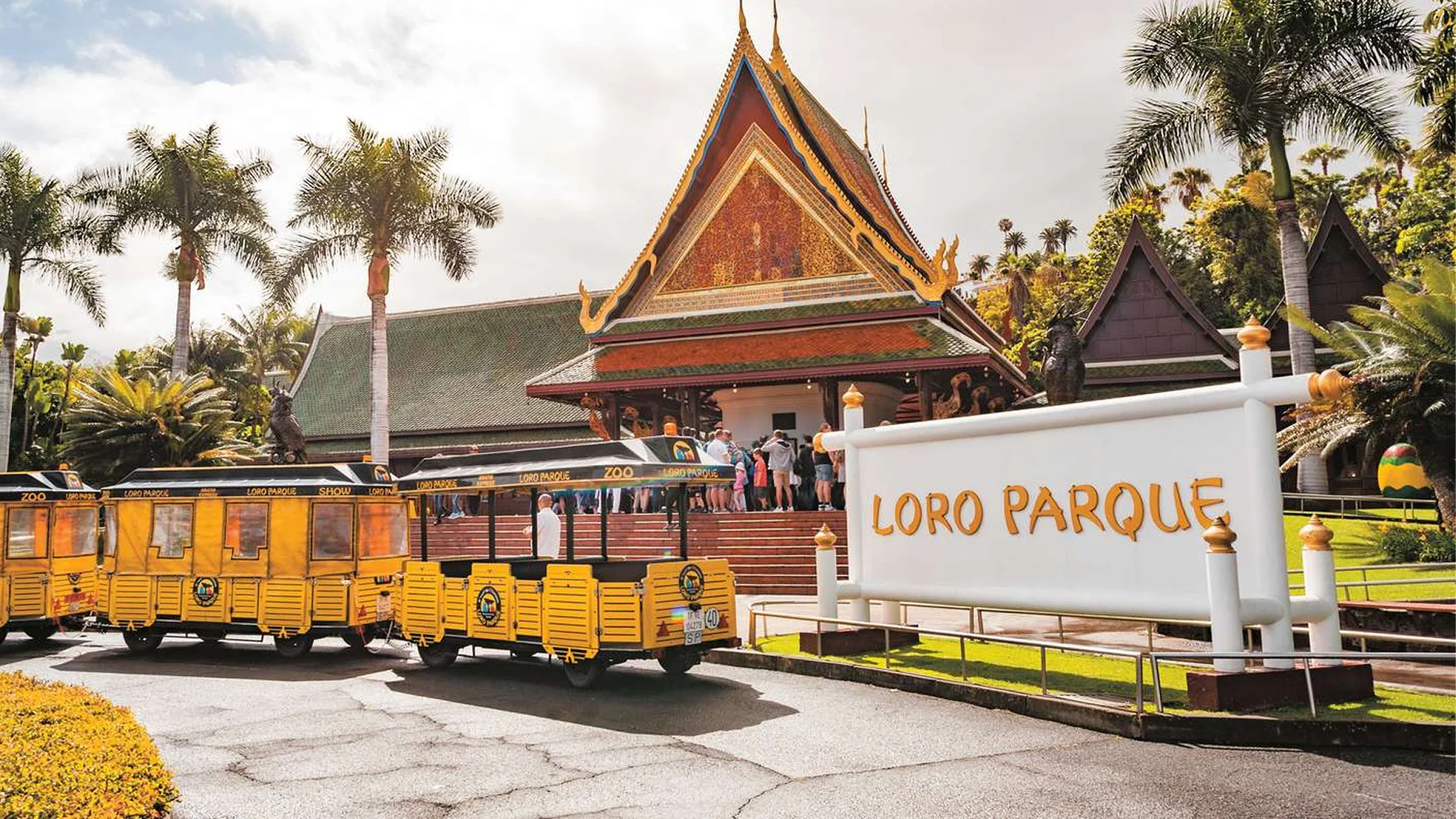 Лоро Парк Тенерифе – Откройте сердце природного чуда острова