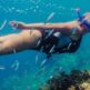Плавание по течению: Глубокое погружение в места для снорклинга на Тенерифе