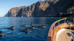 Наблюдение за китами и дельфинами на Тенерифе: Лучшие морские прогулки и как добраться на машине (2026)